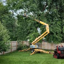 Best Hedge Trimming  in Canyon Day, AZ