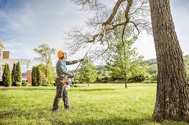 Best Lawn Maintenance Plans  in Canyon Day, AZ